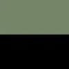 Black/Green