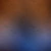 Blue/Brown