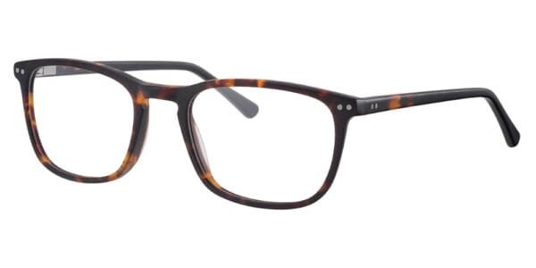 Synergy 6018 - C02 Havana Black