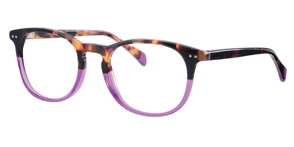 Synergy 6017 - C02 Havana Purple