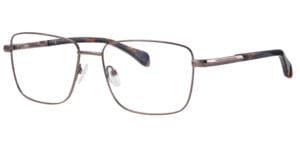 Ferucci 2052 - C11 Bronze