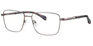Ferucci 2052 - C11 Bronze