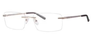 Ferucci 2013 - C70 Gold