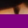 Havana/Purple