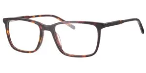 Elite 4621 - C11 havana