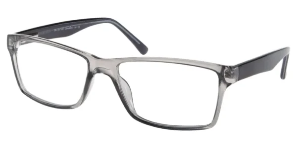Meridian Eyewear Dino - C2 Grey