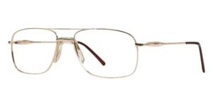 Meridian Eyewear Pisa Stainless Steel - C1 Gold