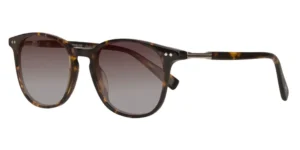 Paul Costelloe Sun 109 - C1 Brown Mottle