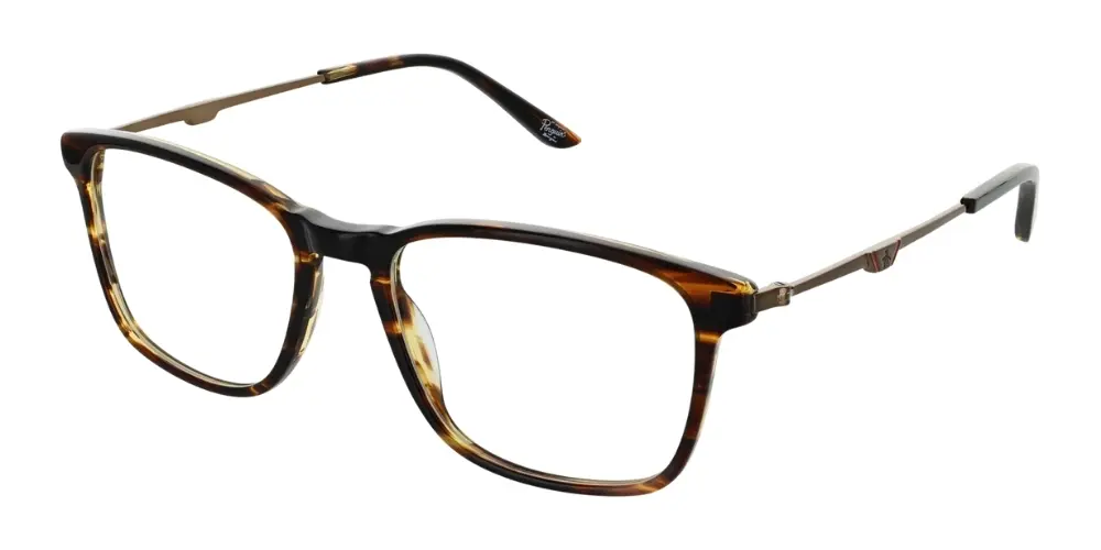 The Jaspe - C1 - Brown