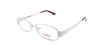 CAP 06 COL.A-SILVER 53×16