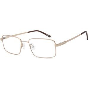 Flexit Optical Glasses